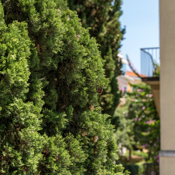 Apartment de Luxe Adriatic 1, Luxury Studios & Apartments Adriatic Split  Split